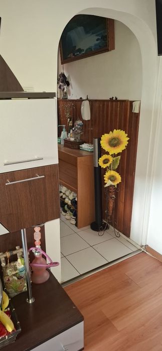 Vând apartament Ștefănești