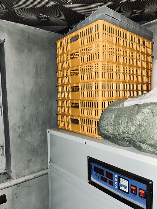 Инкубатор для яиц