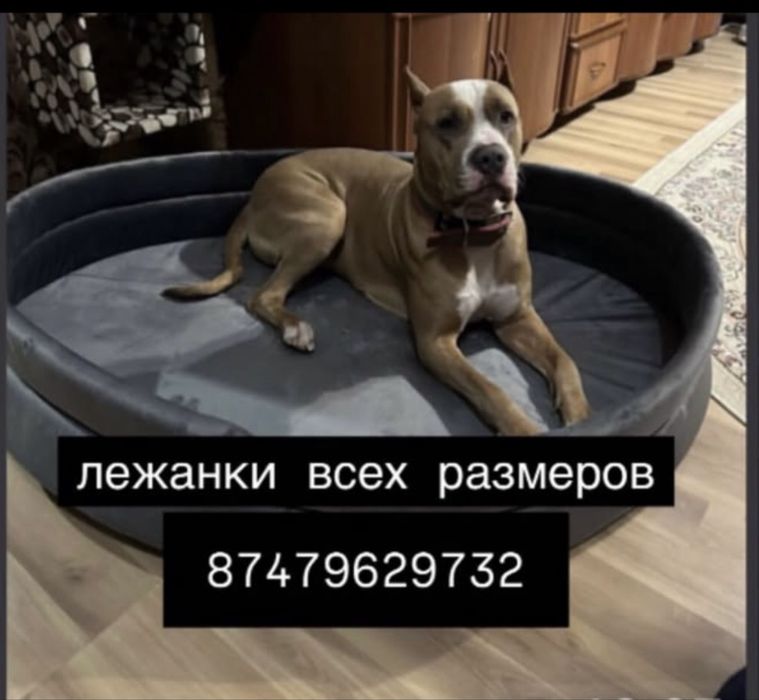 Лежанки для животных
