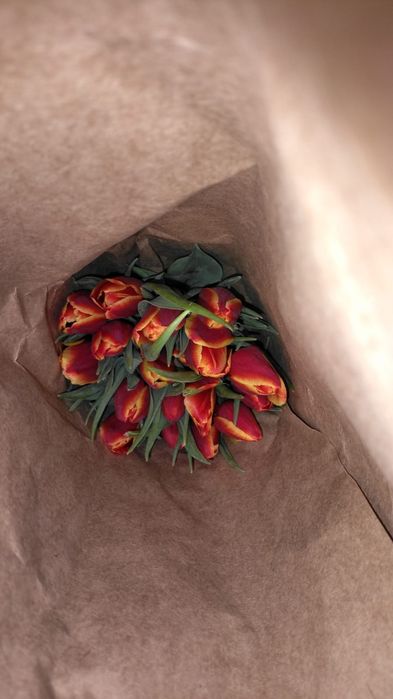 Тюлпан сатылады 22 расцветка бар