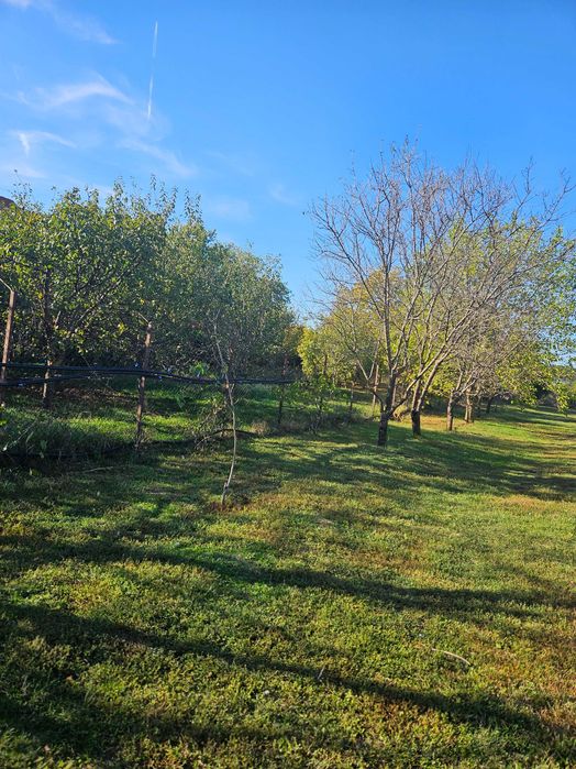 Teren ideal investitie cu deschidere la lacul Balotesti Ilfov