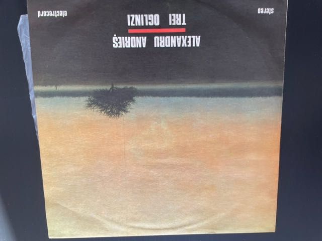 Discuri de vinil - muzică folk, clasică, ușoară