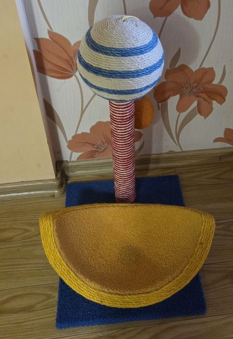 Ansamblu joaca pisici