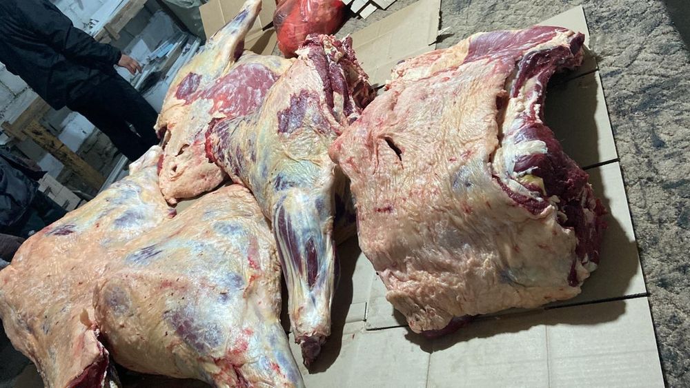 Мясо молодняк Конина Говядина