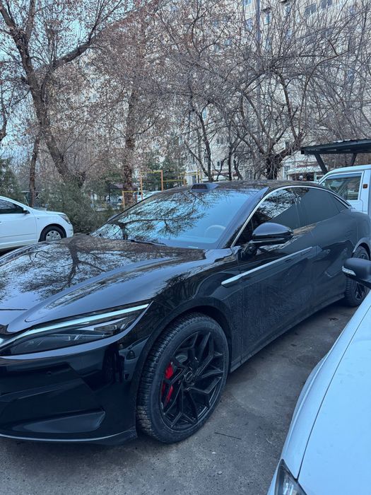 Byd han L 2025yil qora