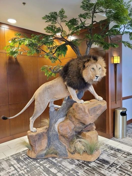 Скульптор Барельеф