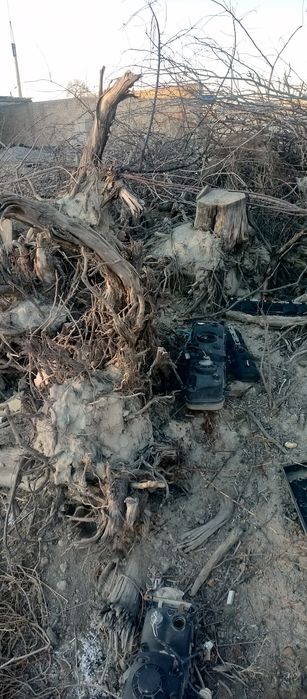 Продается Дрова сухие У́тинлар сотилади