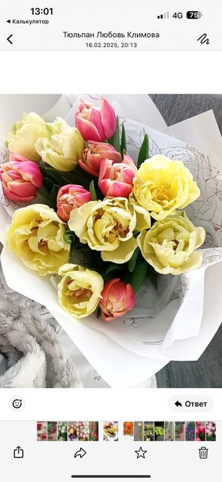 Тюльпаны к 8 марта и 14 февраля.