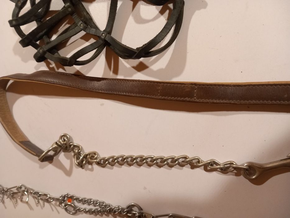 Zgarda forță, botnita și lesă câini