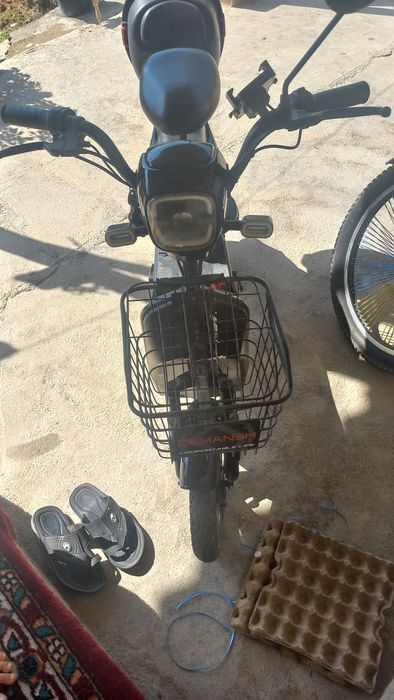 Skuter demansh 2024