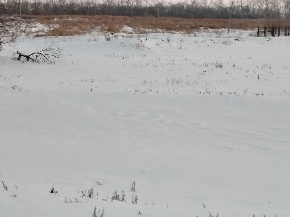 Продам земельный участок в Бишкуле