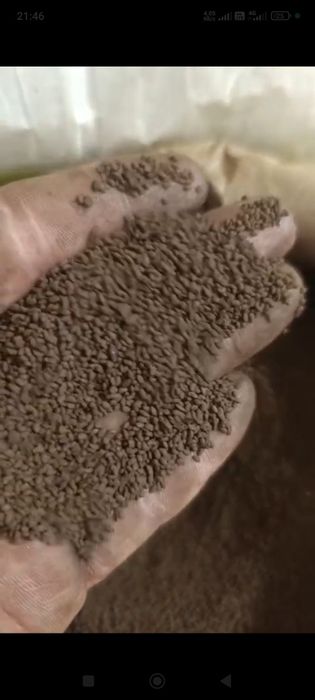 Жонаршка сатылады