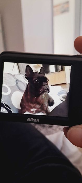 Camera digitala Nikon