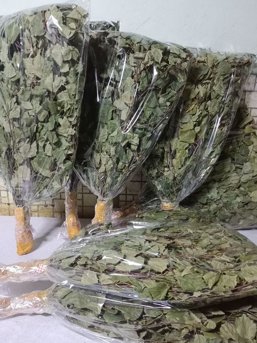 Банные веники береза