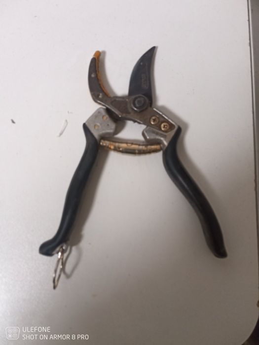 Овощарски ножици за клони