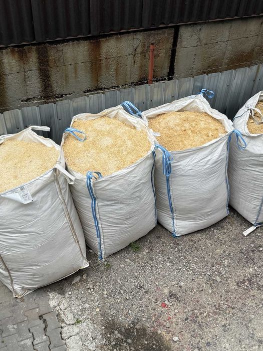 талаш в чували / Трици