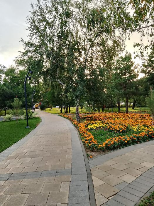 Сдам 1комн. квартиру Аль Фараби-Навои