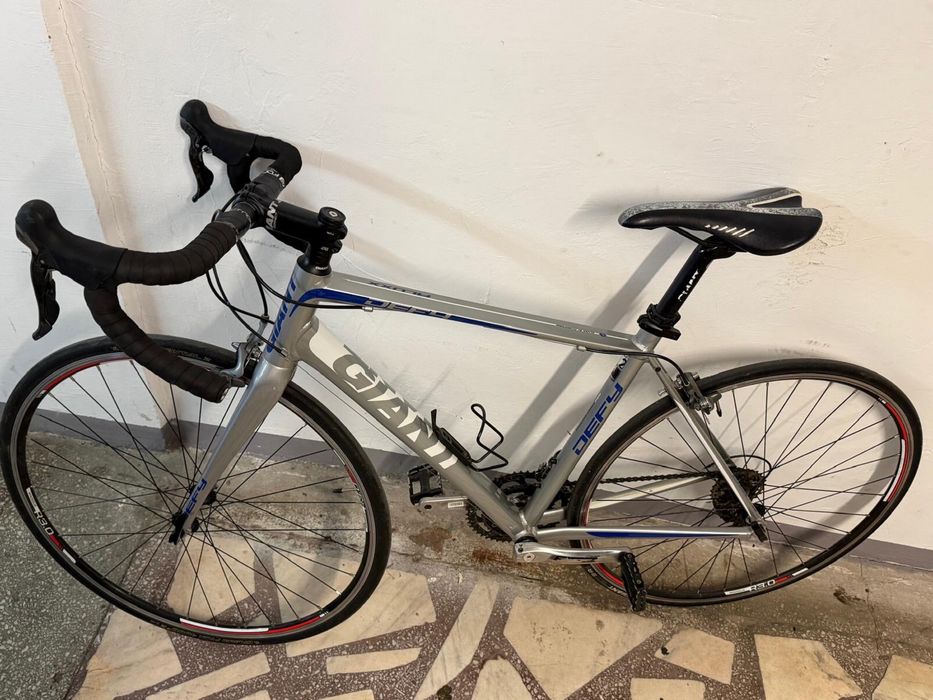 Cursiera Giant 2