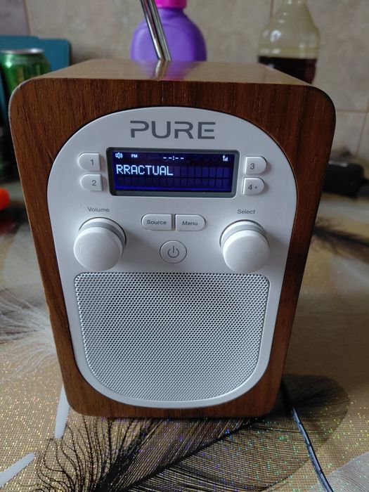 Vind radio Pure evoke d2