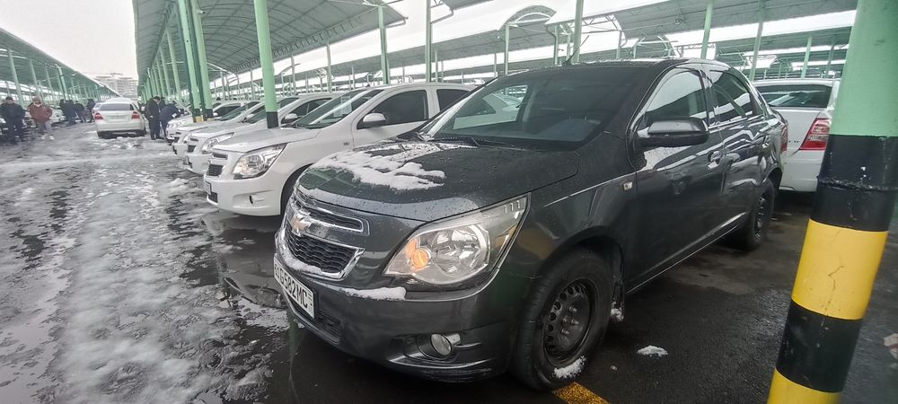 Cobolt 2022 4-pozitsiya STAYl