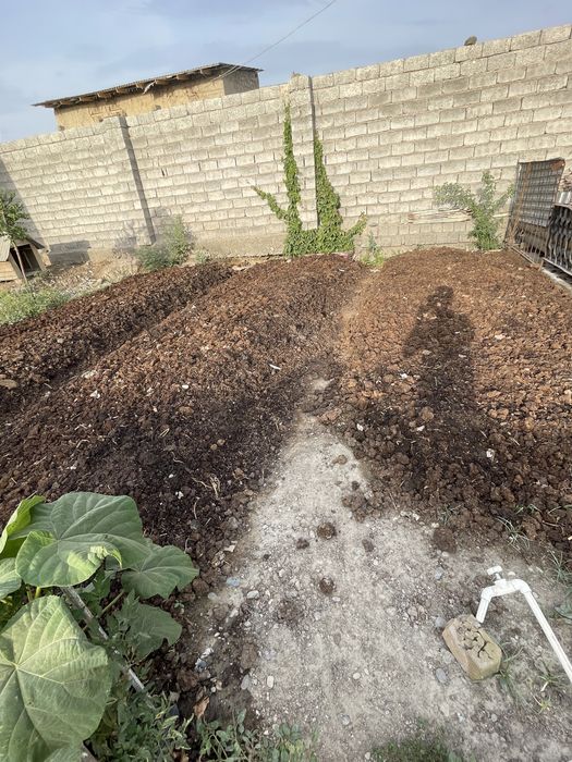 Biogumus  2000 soʻm