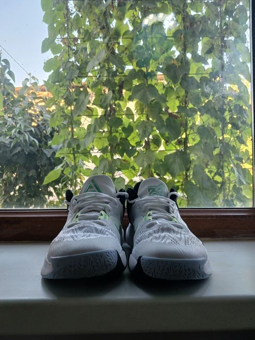 Спортивные кроссовки Nike Giannis immortality 2