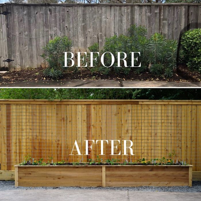 Servicii Profesionale Amenajare Curte gazon iarba debarasare Întreține