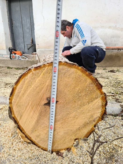 Продавам ствол от орех