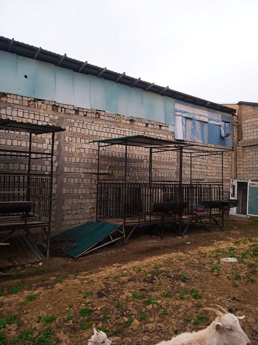 Qoʻyxonalar sotiladi manzil Toshkentda Xasanboyda