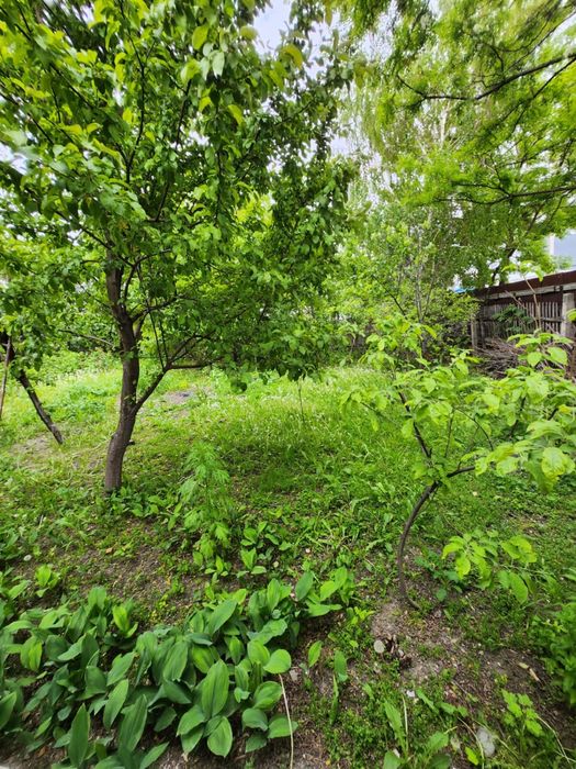 Дом за линией продается