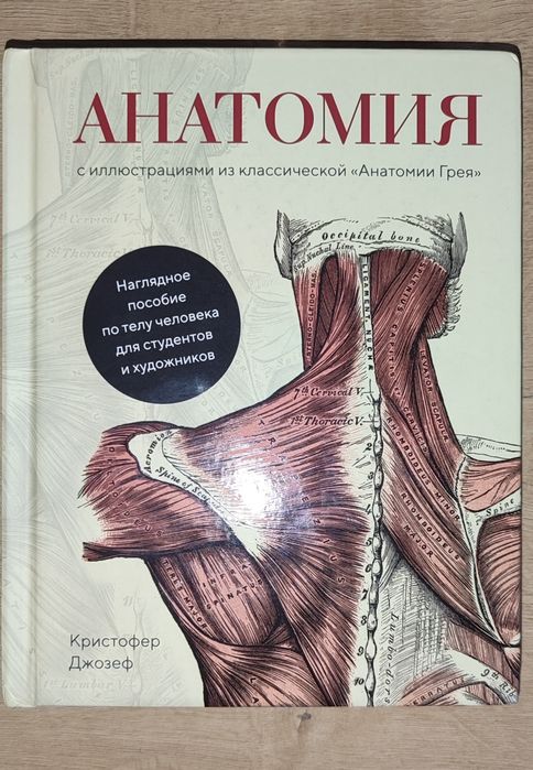 Книга по анатомии