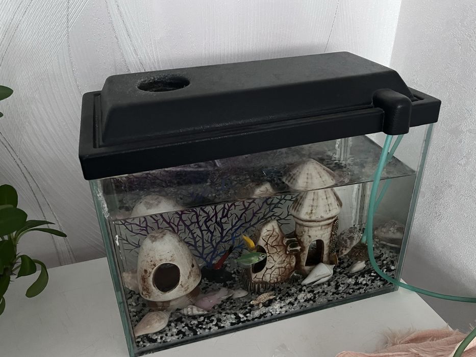 Продается Аквариум 15л с моторчиком