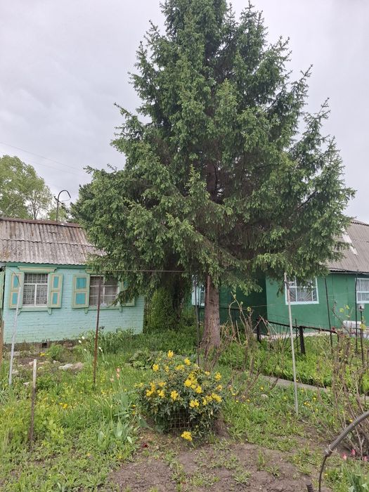 Продам летнюю дачу район аэропорта