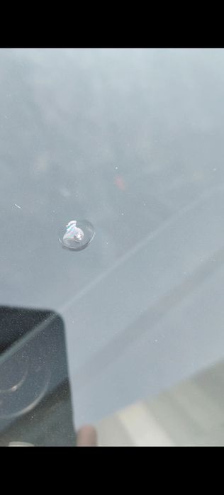 Avtooynalarni almashtirish va tamirlash xizmati Toshkentda