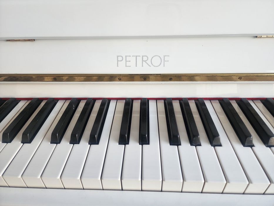 Петроф белый. Petrof oq rang