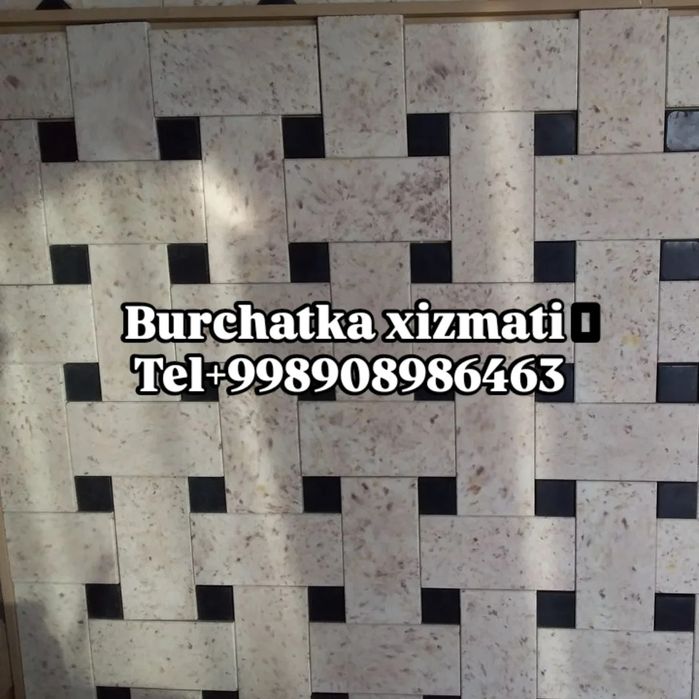 Burchatka teramiz sifati N1