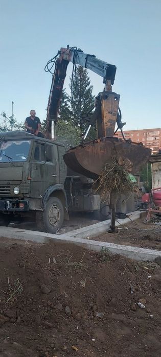 Вывоз мусора. Веток, деревья