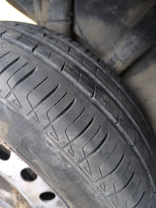 Орел вектра 2 куп