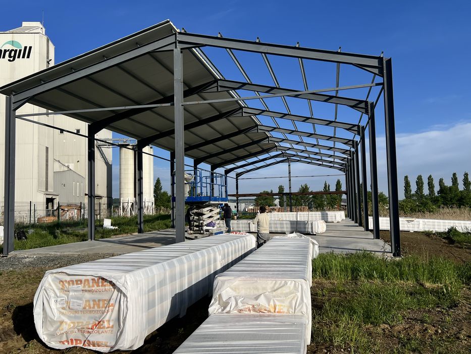 Vand Hala metalica 12x35x4