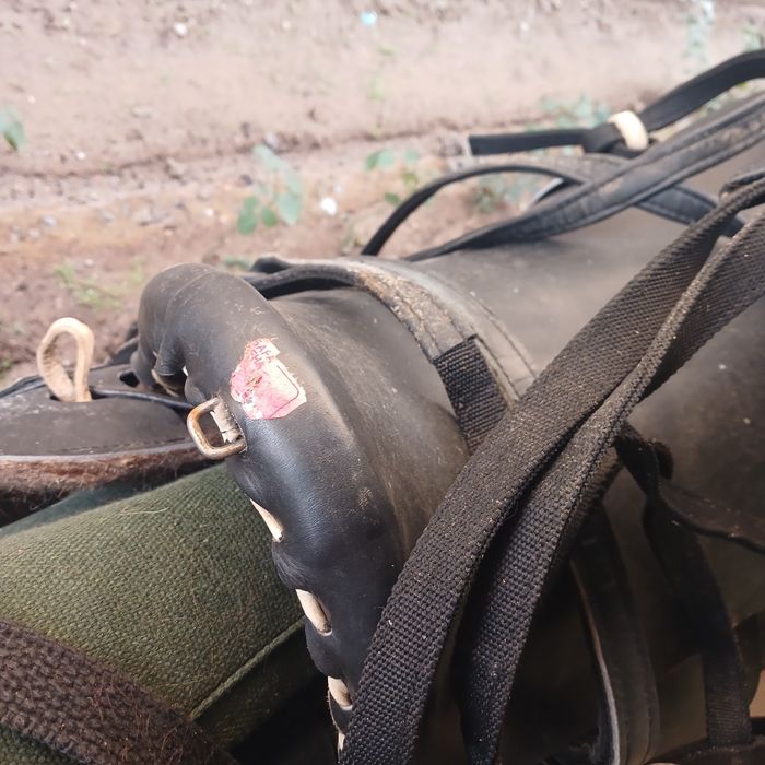 Ертокым ертокын ертокым