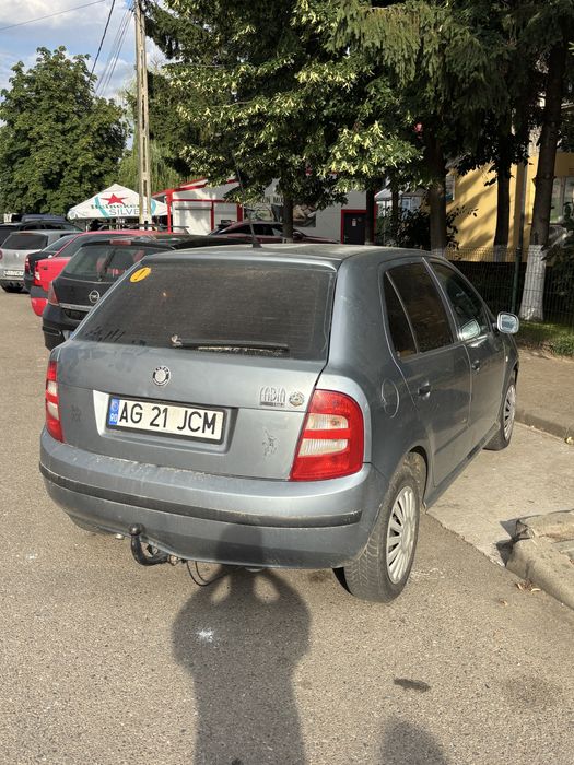 Vand skoda fabia 1