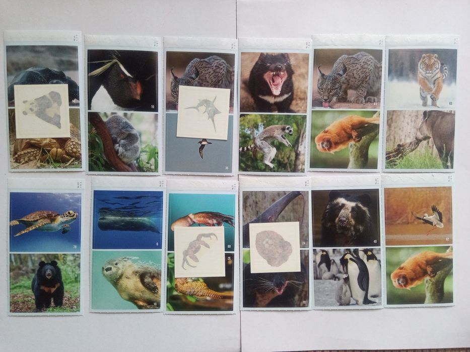 Билла стикери 64 броя + 11 татуировки