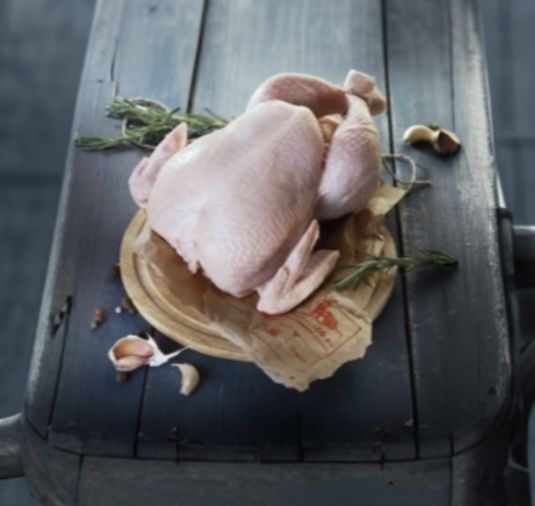 Домашняя курочка бройлера