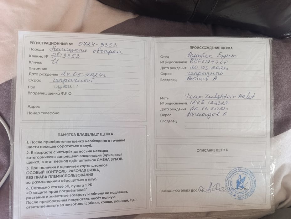 Овчарка немецкая