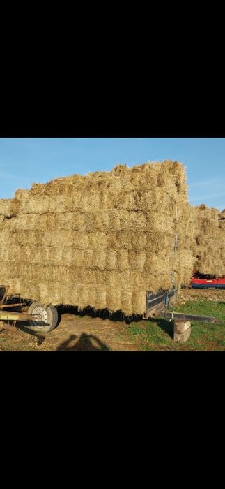 Baloti fan la TIR min 250 500 or Rotunzi 40.Lucerna sau fan>RO.Pomi