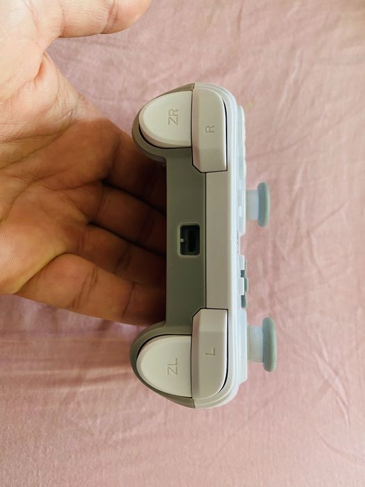 Nintendo Switch  , USB  контролер