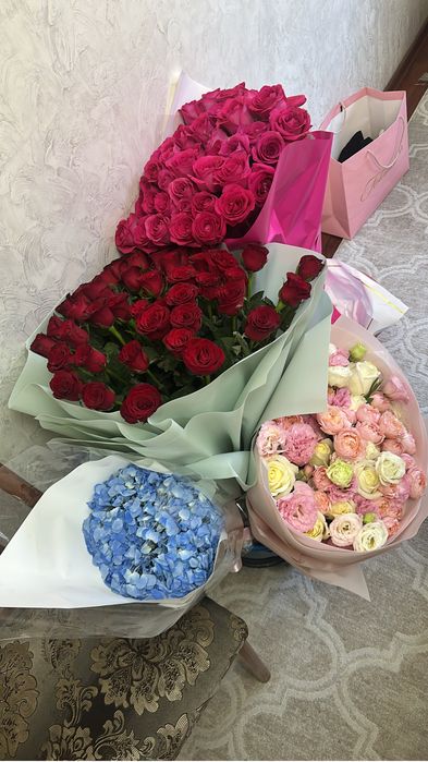 Продам б/у цветы разные