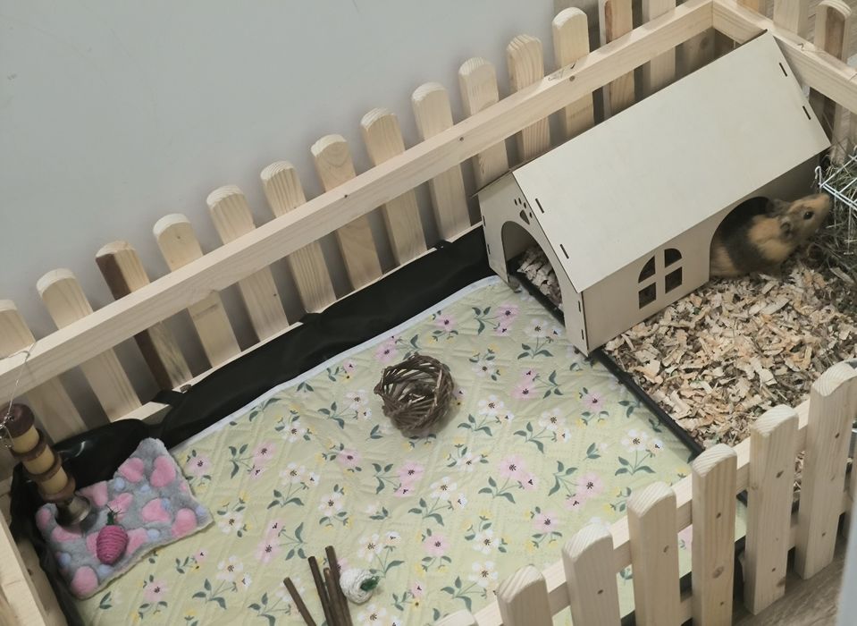 СПЕШНО Две морски свинчета и клетка
