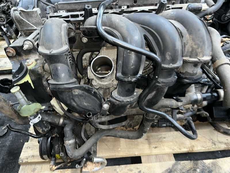 Двигатель Ford Focus 1.6 SHDA