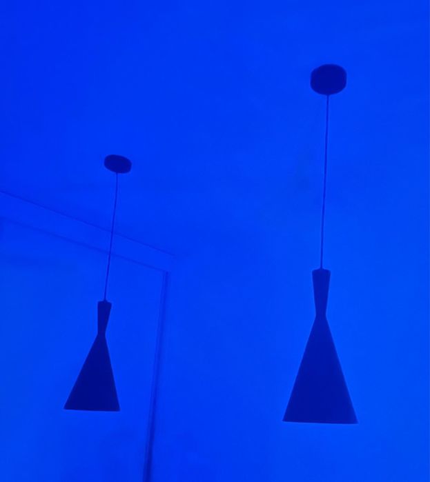 Set 2 lămpi tip pendul cu becuri led fasung normal